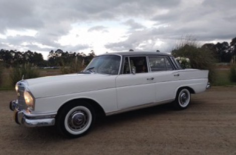 Mercedes-Benz-220S-1964-2 Mercedes-Benz-220S-1964-2