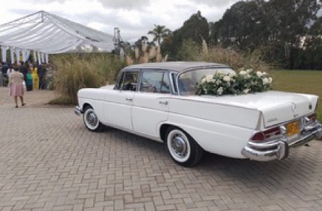 Mercedes-Benz-220S-1964-4 Mercedes-Benz-220S-1964-4